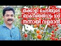 Bacterial Wilt In Tomatoes | നമ്മുടെ തക്കാളി ഇനി വാടിപോവില്ല | Deepu Ponnappan