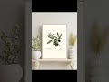 Olive Branch — Heart of Mediterranean Life
