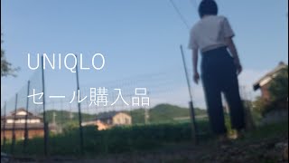 #4【かぼちゃ物】UNIQLO - セール購入品 -