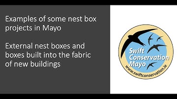 Swift Conservation Mayo nest box projects