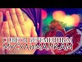 Советы беременным мусульманкам - Ибн Адам аль-Кавсари