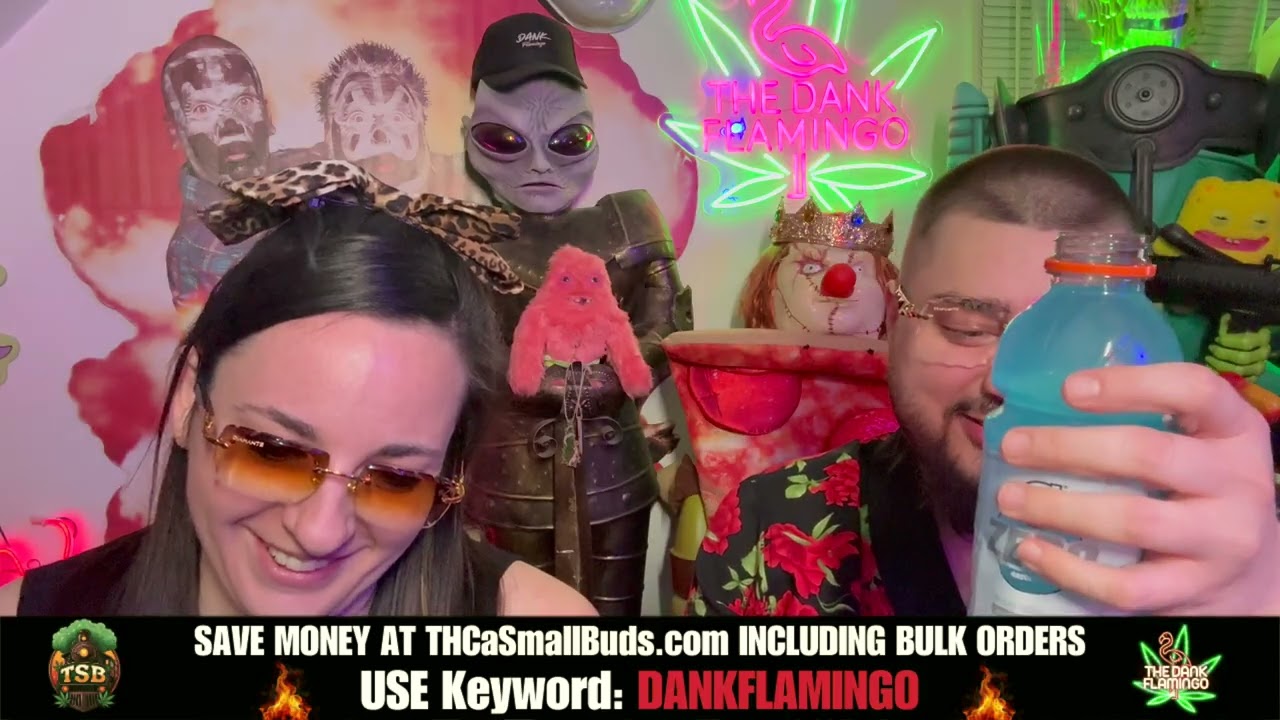 Bulk Wholesale Cheap Exotic Dank Dynasty $700 HP from THCA Small Buds! Dankin with the Flamingos