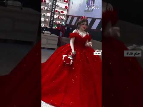 الغزالة رايقة ستوريات انستا عرايس كيوت