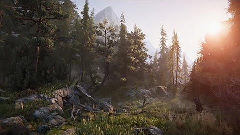 Achieving high fidelity graphics for games with the HDRP