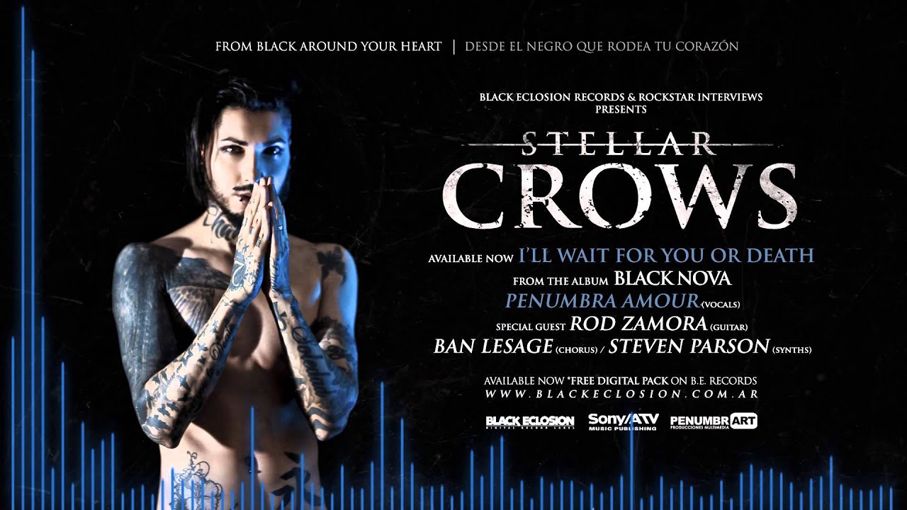 STELLAR CROWS - I'll wait for you or death