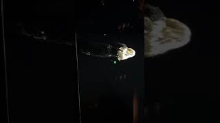 Carrie Underwood End Up With You Atlanta 2019