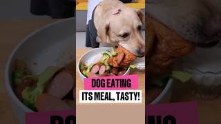 This Dogs Lunch Is Fancier Than Yours Watch Him Devour It
