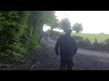 Маламут Путята. Прогулка по ирландскому лесу.