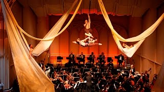 Get To Know Frequent Flyers Aerial Dance