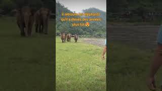 de belles retrouvailles #animals #cute  #retrouvailles