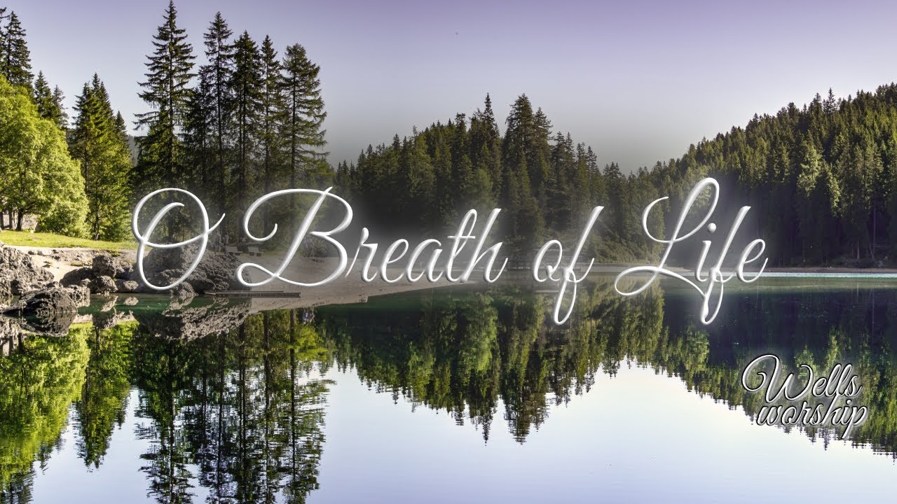 O Breath of Life | Live | Wells Worship - YouTube