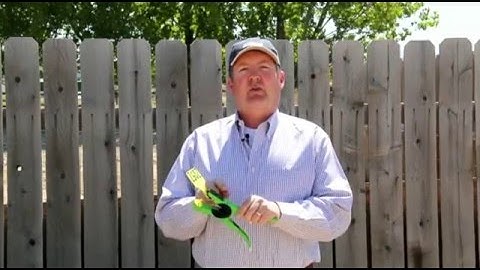 Allflex Green Universal Total Tagger +