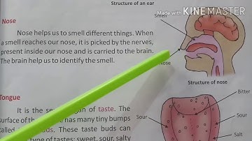 NERVOUS SYSTEM | Chapter - 4 | Class -5th | Science | Part - 2 | Sense Organs