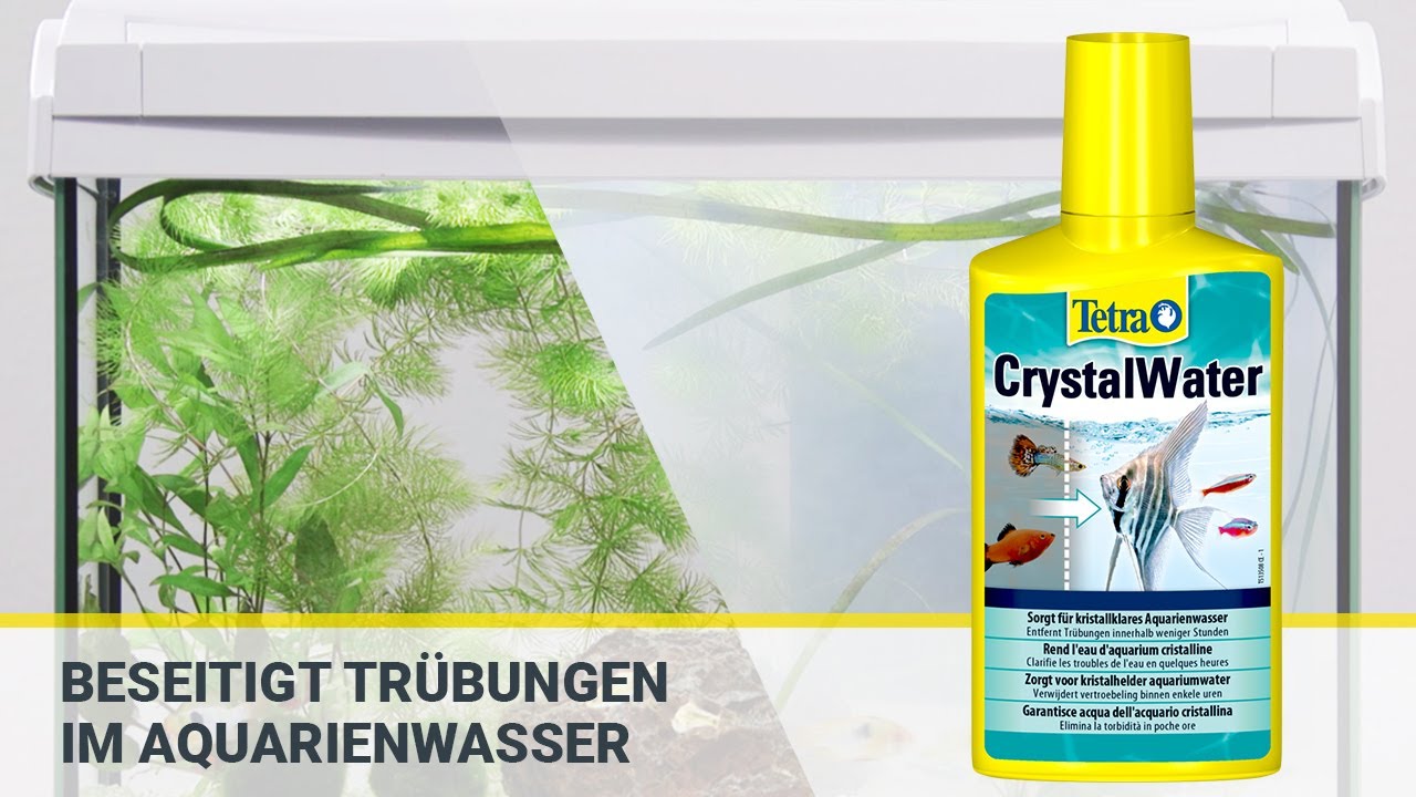 Aquarium Steine Wasserklärer Aquarium 473 Ml – Entfernt Trübungen Sichtbar  – Für Kristallklares Wasser In Süß- & Meerwasseraquarien – Biologisch Mit  Filterbakterien – Pflanzensicher – ARKA Aqua-Pure Algenvernichter Aquarium