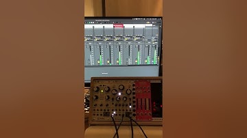 Mutable Instruments Plaits and Beads - all sounds here are from Plaits and Beads eurorack modules