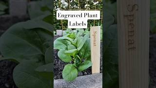 Upgrade Your Garden with Laser Engraved Plant Labels