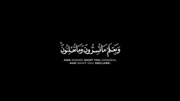 كروما شاشه سوداء قرآن كريم🍁 تلاوة خاشعة من سورة التغابن🍁 القارئ #شريف_مصطفى #القرآن_الكريم