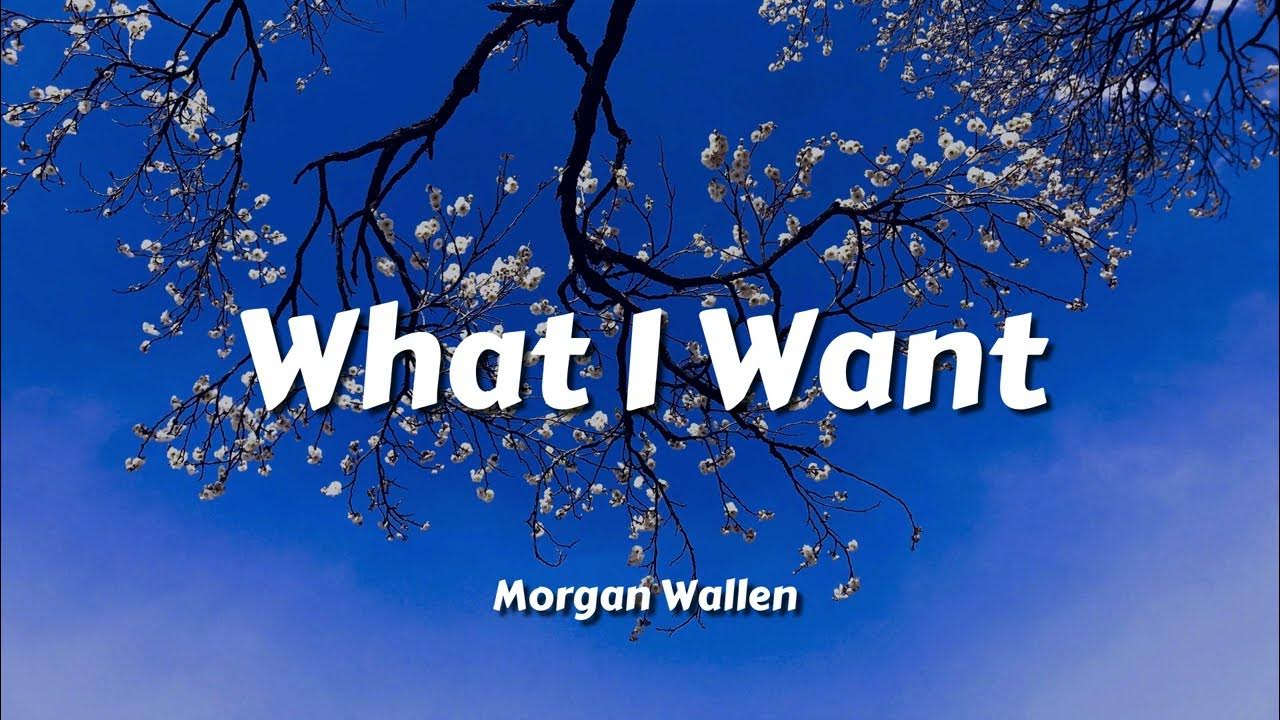 Morgan Wallen - What I Want (feat. Tate McRae) (Lyric Video) Morgan Wallen - What I Want (feat. Tate McRae) (Lyric Video)