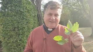 14th Sunday after Trinity - All Saints Whitstable - with preacher Rev Simon Tillotson