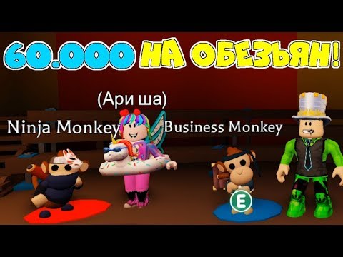 ОБЕЗЬЯНЫ захватили АДОПТ МИ! ПОТРАТИЛИ 60.000 на ОБЕЗЬЯН! Какие выпали ПОДАРКИ обновление Adopt Me!