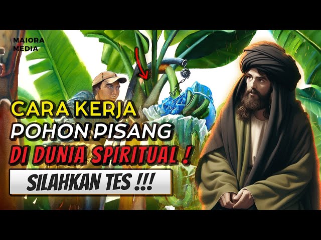 SELAMA INI DITUTUP TUTUPI OLEH LELUHUR ❗ Khasiat Gaib Pohon Pisang Dalam Dunia Spiritual class=