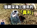 蜜獾同款神技，三億年未曾演化，世界上最會玩粘液的動物——盲鰻【老肉雜談】