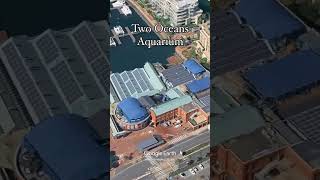 Cape Town, Güney Afrika. Güney Afrikadaki En Eski Şehir Üneyafrika