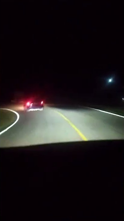 SEPI ‼ Lintas Sumatera malam hari di hutan belantara