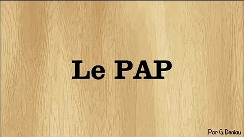 Comment rédiger un PAP ?