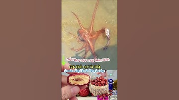 đi bắt hải sản ăn Táo Đỏ Hằng Du Mục| Mò Cua Bắt Ốc - TV