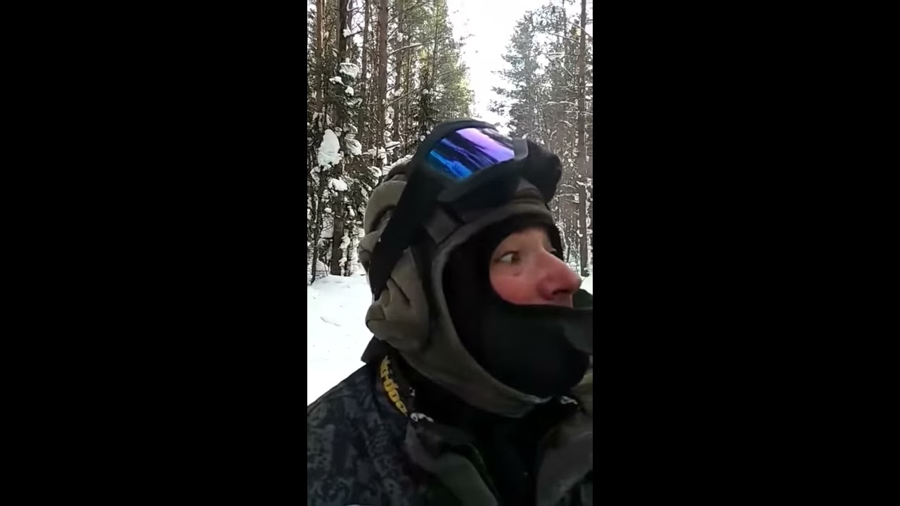 найти работу егеря