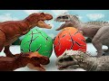 Dinosaurs In Broken Big Dino Eggs! Jurassic World, Dinosaur Head Lego 공룡알 깨기