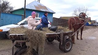 Жизнь в деревне. Прокатимся на лошади с телегой.