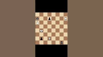 Daily Chess Combinations - No. 113 - #chess #puzzle #dailychess #shorts #0_algo_chess