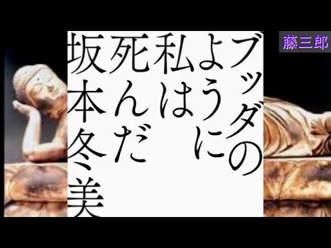 ブッダのように私は死んだ ／ 坂本冬美 ／ 藤三郎