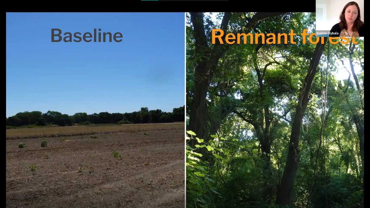 Riparian Zones With Benefits: Biodiversity, Carbon, and Beyond | Kristen Dybala | MCWC Presentation