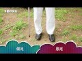 杖歩行(01) 「理学療法士必見！２動作歩行と３動作歩行の違い」　【1分介護技術動画】