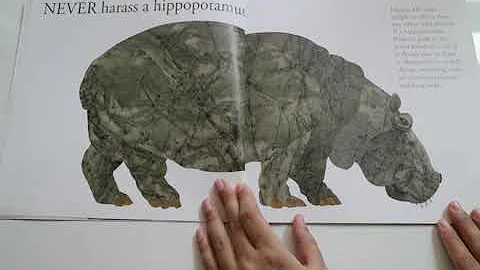 Never Smile at a Monkey