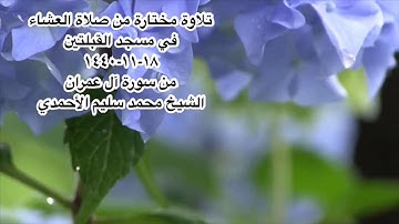 تلاوة مختارة من صلاة العشاء في مسجد القبلتين ١٨-١١-١٤٤٠ من سورة آل عمران  الشيخ محمد سليم الأحمدي
