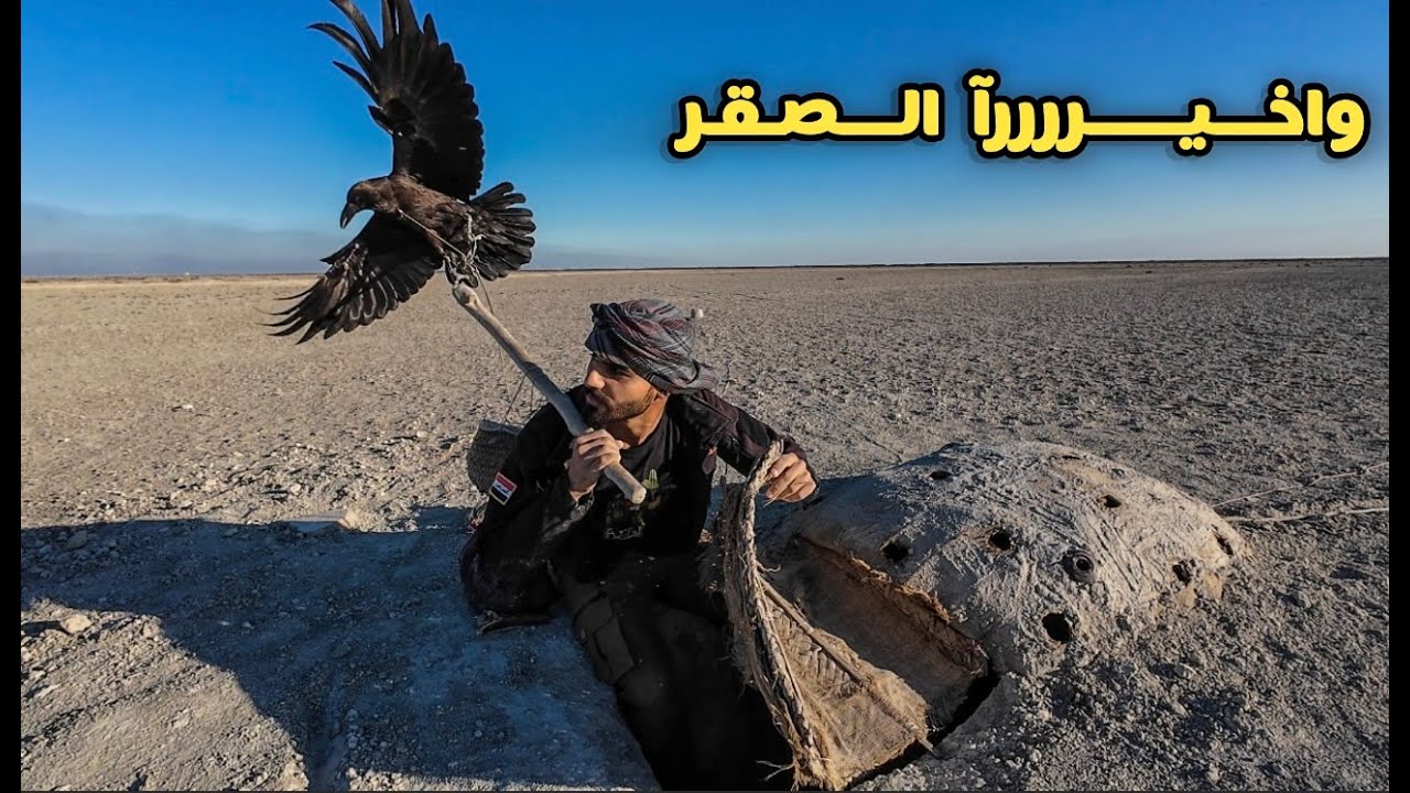 صيد الصقور في الصحراء والاختفاء تحت الأرض