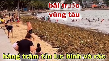 Bãi Trước Vũng Tàu Ngập Lục Bình và Rác Thải: Hàng Trăm Tấn Trôi Dạt Gây Ô Nhiễm Nặng