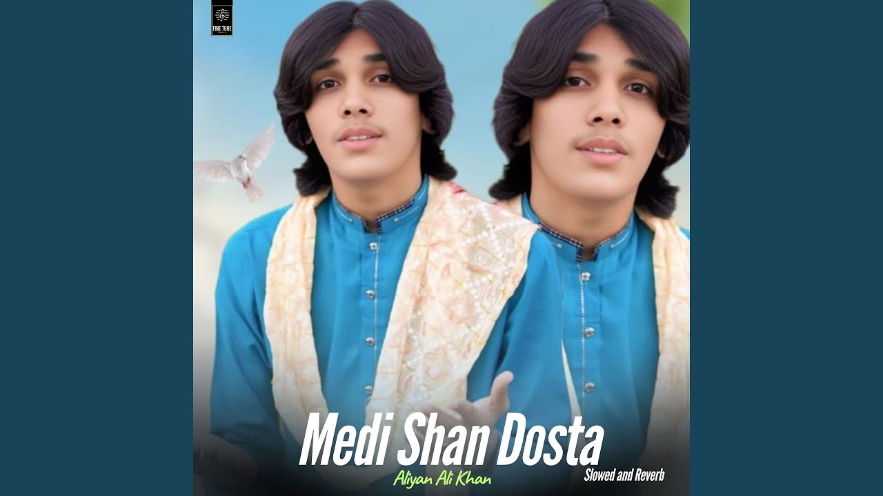 Medi Shan Dosta (Slowed and Reverb)