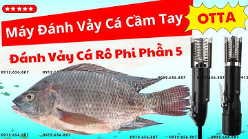 Máy đánh vảy cá cầm tay OTTA đánh vảy cá rô phi cực kỳ đơn giản Phần 5, máy cạo vảy cá