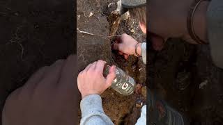 Finding a Arrowhead In A Cut Bank.
