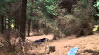 Pineboarding HD. Next Official Sport Of New Zealand News