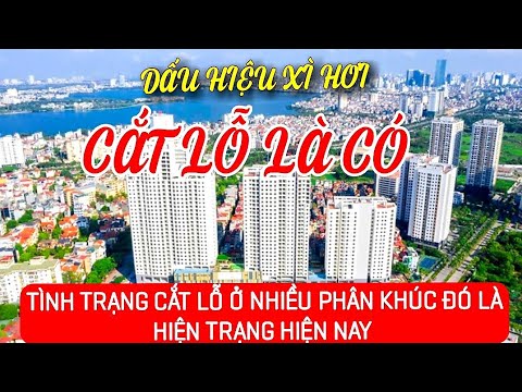 Video: Đồ Trang Sức: Tổng Quan Về Quả Bóng, Bàn Tay, T-16 Và Các Mẫu Khác. Làm Thế Nào để Chọn Cho Công Việc Trang Sức?