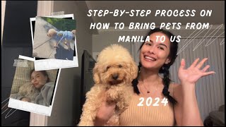 StepByStep Process on How To Bring a Pet from Manila to USA 2024