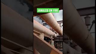 #jamaicanewstoday #jamaica #jamaicanews #jamalco