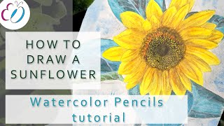 How to draw A SUNFLOWER with WATERCOLOR PENCILS tutorial | Easy Drawings