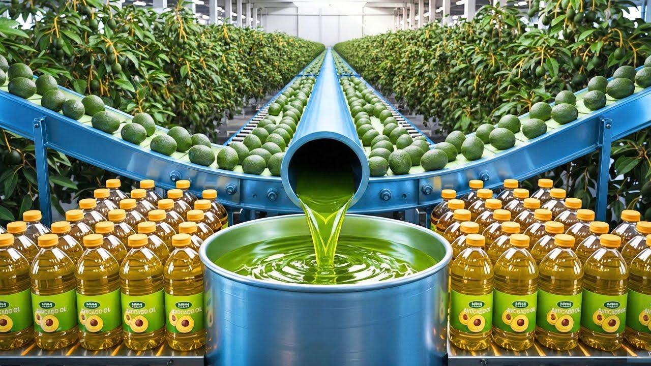 WHAT’S THE AVOCADO OIL MANUFACTURING PROCESS? (STEP-BY-STEP FROM START TO FINISH)